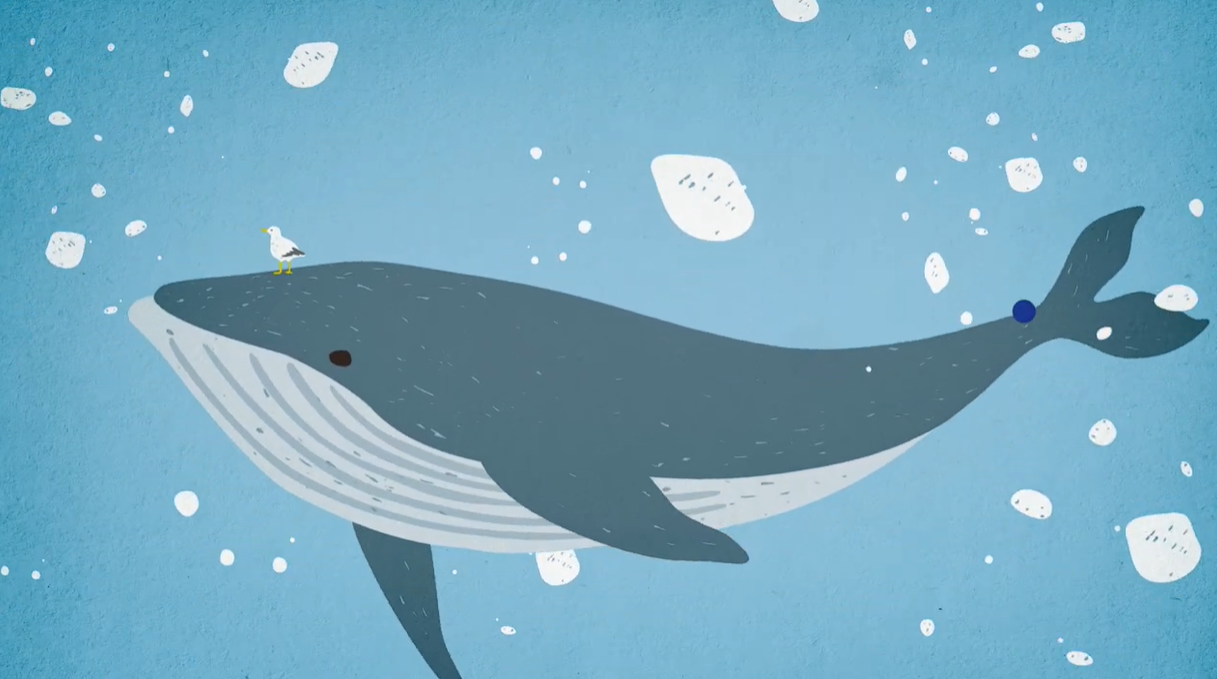 TVコマーシャル Vol,6